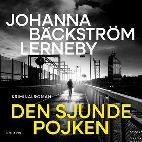 Den sjunde pojken (ljudbok) av Johanna Bäckströ
