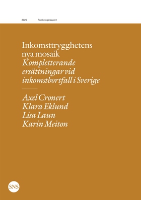 Inkomsttrygghetens nya mosaik: Kompletterande f