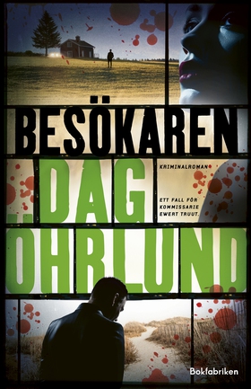 Besökaren (e-bok) av Dag Öhrlund
