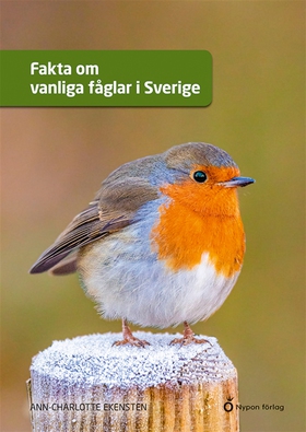 Fakta om vanliga fåglar i Sverige (e-bok) av An