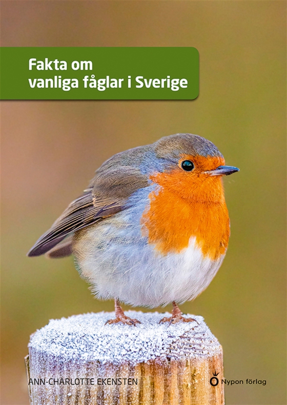 Fakta om vanliga fåglar i Sverige