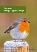 Fakta om vanliga fåglar i Sverige