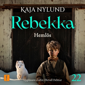 Hemlös (ljudbok) av Kaja Nylund