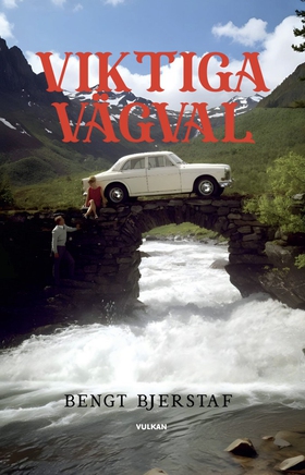 Viktiga vägval (e-bok) av Bengt Bjerstaf