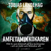 Amfetaminkokaren : Mitt liv som kriminell på fyra kontinenter