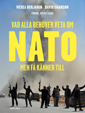 Vad alla behöver veta om Nato men få känner til