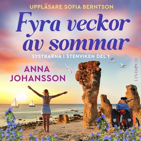 Fyra veckor av sommar (ljudbok) av Anna Johanss