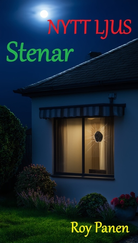 NYTT LJUS Stenar (thriller) (e-bok) av Roy Pane