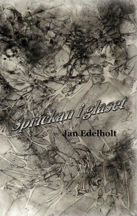 Sprickan i glaset (e-bok) av Jan Edelholt