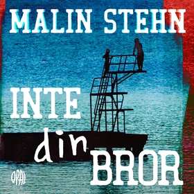 Inte din bror (ljudbok) av Malin Stehn