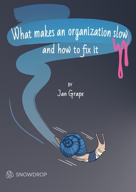 What makes an organization slow and how to fix 