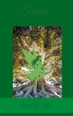 Fairies: Legend of Saffira