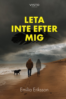 Leta inte efter mig (e-bok) av Emilia Eriksson