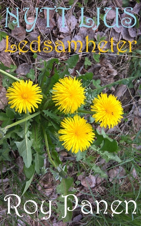 NYTT LJUS Ledsamheter (thriller) (e-bok) av Roy