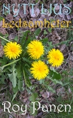 NYTT LJUS Ledsamheter (thriller)