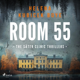 Room 55: A clever Scandi-Noir thriller set in S