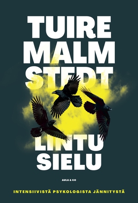 Lintusielu (e-bok) av Tuire Malmstedt