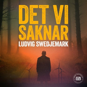 Det vi saknar (ljudbok) av Ludwig Swedjemark