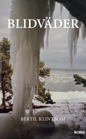 Blidväder (e-bok) av Bertil Klintbom