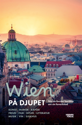 Wien på djupet (e-bok) av Torbjörn Flygt, Ander