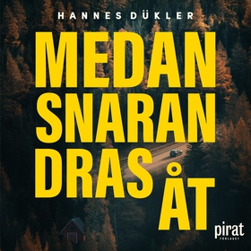 Medan snaran dras åt (ljudbok) av Hannes Dükler