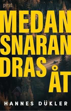 Medan snaran dras åt (e-bok) av Hannes Dükler