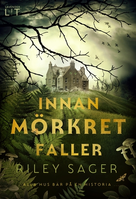 Innan mörkret faller (e-bok) av Riley Sager