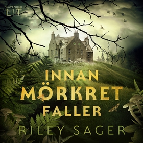 Innan mörkret faller (ljudbok) av Riley Sager