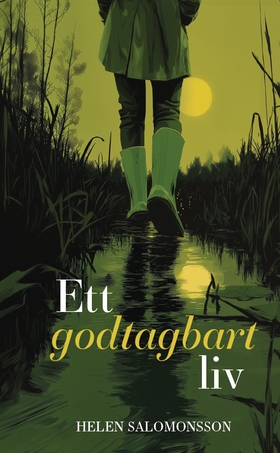 Ett godtagbart liv (e-bok) av Helen Salomonsson