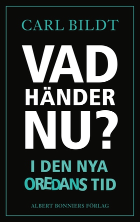 Vad händer nu? : I den nya oredans tid (e-bok) 