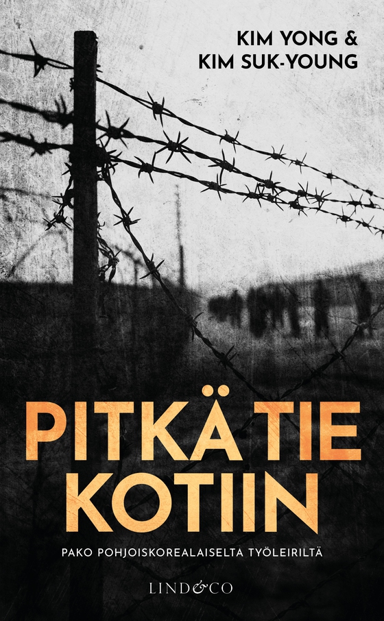 Pitkä tie kotiin