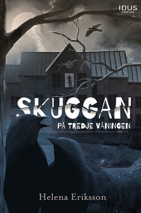 Skuggan på tredje våningen (e-bok) av Helena Er