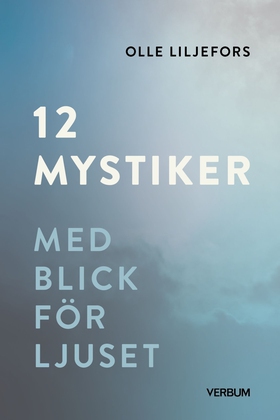 12 mystiker (e-bok) av Olle Liljefors