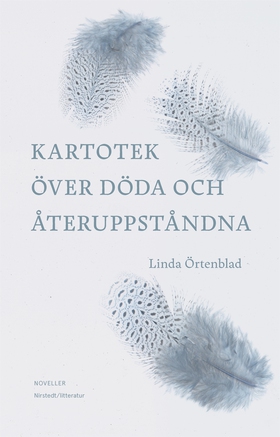 Kartotek över döda och återuppståndna (e-bok) a
