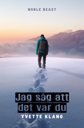 Jag såg att det var du (e-bok) av Yvette Klang