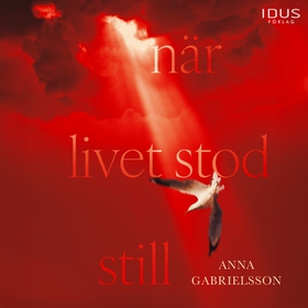När livet stod still (ljudbok) av Anna Gabriels