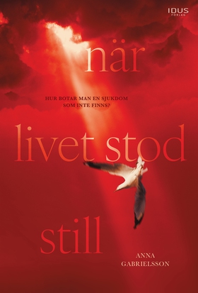 När livet stod still (e-bok) av Anna Gabrielsso