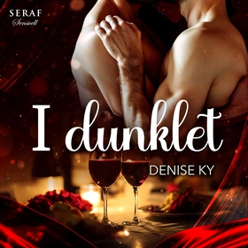I dunklet (ljudbok) av Denise Ky