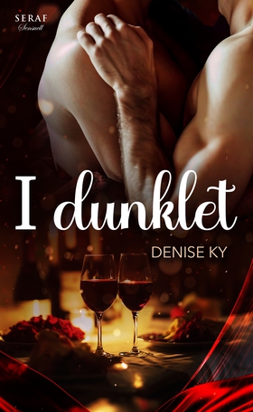 I dunklet (e-bok) av Denise Ky