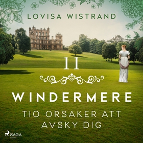 Tio orsaker att avsky dig (ljudbok) av Lovisa W