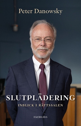 Slutplädering - inblick i rättssalen (e-bok) av