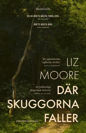 Där skuggorna faller (e-bok) av Liz Moore