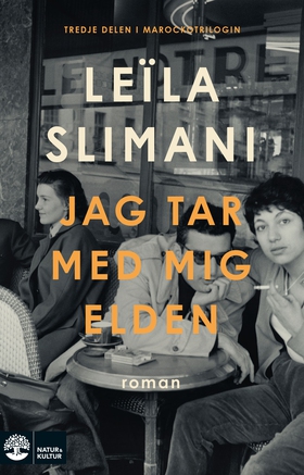 Jag tar med mig elden (e-bok) av Leïla Slimani