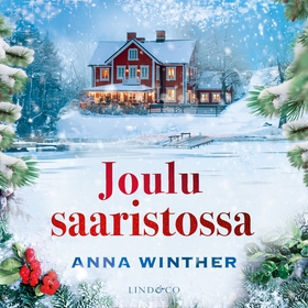 Joulu saaristossa (ljudbok) av Anna Winther