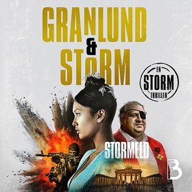 Stormeld (ljudbok) av Anna Granlund, Alex Storm