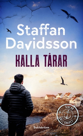 Kalla tårar (e-bok) av Staffan Davidsson