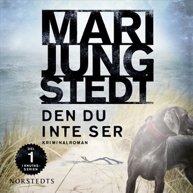 Den du inte ser (ljudbok) av Mari Jungstedt