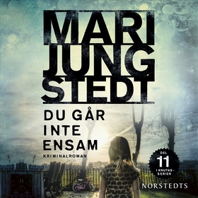 Du går inte ensam (ljudbok) av Mari Jungstedt