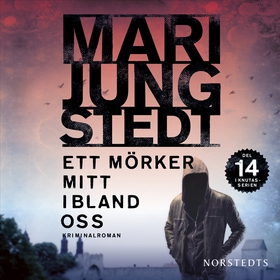 Ett mörker mitt ibland oss (ljudbok) av Mari Ju