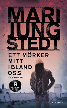 Ett mörker mitt ibland oss (e-bok) av Mari Jung